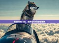 孤狼攻略飞机，独步空中的生存指南