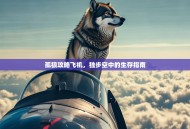 孤狼攻略飞机，独步空中的生存指南
