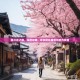 香川花之旅，深度攻略，尽享樱花盛景与地方风情