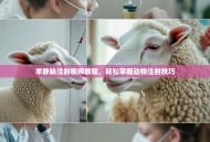 羊静脉注射视频教程，轻松掌握动物注射技巧