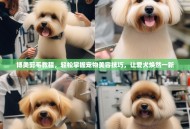 博美剪毛教程，轻松掌握宠物美容技巧，让爱犬焕然一新