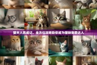 猫夫人养成记，全方位攻略助你成为猫咪宠爱达人