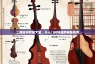 二胡自学教程大全，从入门到精通的完整指南