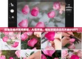 玫瑰花编织视频教程，从零开始，轻松掌握浪漫花艺编织技巧