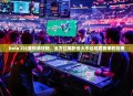 Dota 2比赛视频攻略，全方位解析各大平台观看赛事的指南