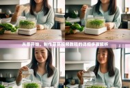 从零开始，制作豆芽视频教程的详细步骤解析