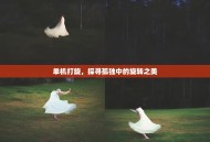 单机打旋，探寻孤独中的旋转之美