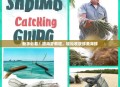 新手必看！抓海虾教程，轻松收获鲜美海鲜
