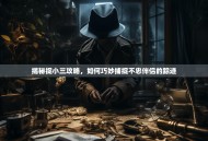 揭秘捉小三攻略，如何巧妙捕捉不忠伴侣的踪迹
