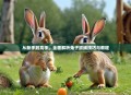 从新手到高手，全面解析兔子抓捕技巧与教程