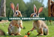 从新手到高手，全面解析兔子抓捕技巧与教程