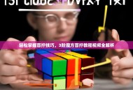 轻松掌握盲拧技巧，3阶魔方盲拧教程视频全解析