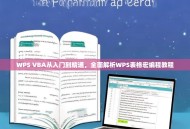 WPS VBA从入门到精通，全面解析WPS表格宏编程教程
