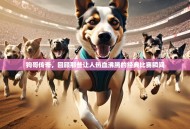 狗哥传奇，回顾那些让人热血沸腾的经典比赛瞬间