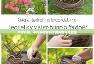 从零开始，手把手教你制作精美的鸟窝教程