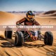沙王，挑战极限，沙地赛车运动的新星能否在比赛中崭露头角？