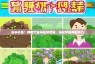 新手必看！种植大白菜视频教程，轻松掌握种植技巧