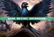 黑鸟攻略，解锁飞行技巧，畅游天际的秘密武器！