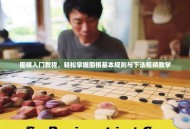 围棋入门教程，轻松掌握围棋基本规则与下法视频教学