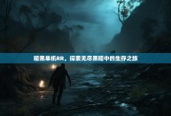 暗黑单机RR，探索无尽黑暗中的生存之旅