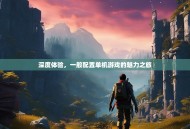 深度体验，一般配置单机游戏的魅力之旅