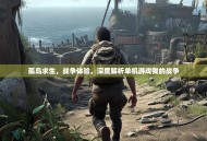 孤岛求生，战争体验，深度解析单机游戏我的战争