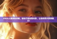 VSCO人像调色攻略，轻松打造时尚光影，让你的照片更具魅力！