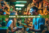 重温经典，双人联机单机小游戏的魅力之旅