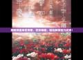 阴阳师彼岸花攻略，花影翩翩，轻松解锁强力式神！