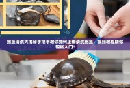鲍鱼清洗大揭秘手把手教你如何正确清洗鲍鱼，视频教程助你轻松入门！