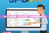 SPSS 13基础教程，从入门到实践，轻松掌握数据分析工具
