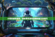 小苍的虚拟冒险，揭秘单机游戏直播的魅力与技巧