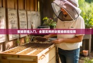 蜜蜂养殖入门，全面实用的训蜜蜂教程指南