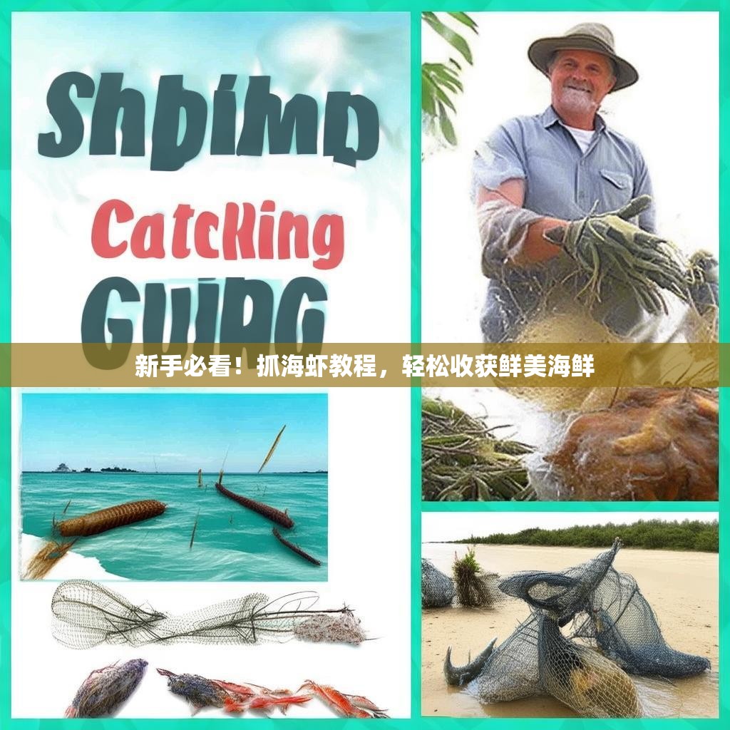 新手必看！抓海虾教程，轻松收获鲜美海鲜