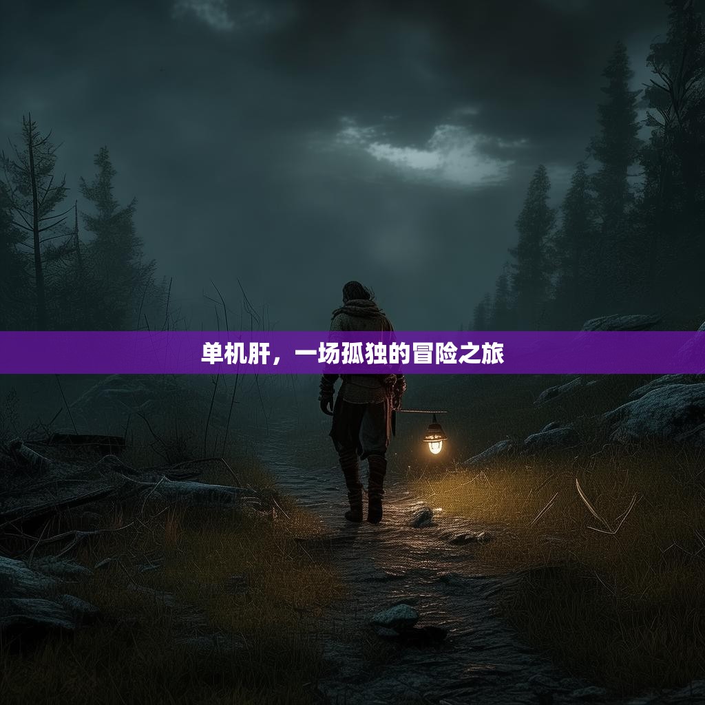 单机肝，一场孤独的冒险之旅