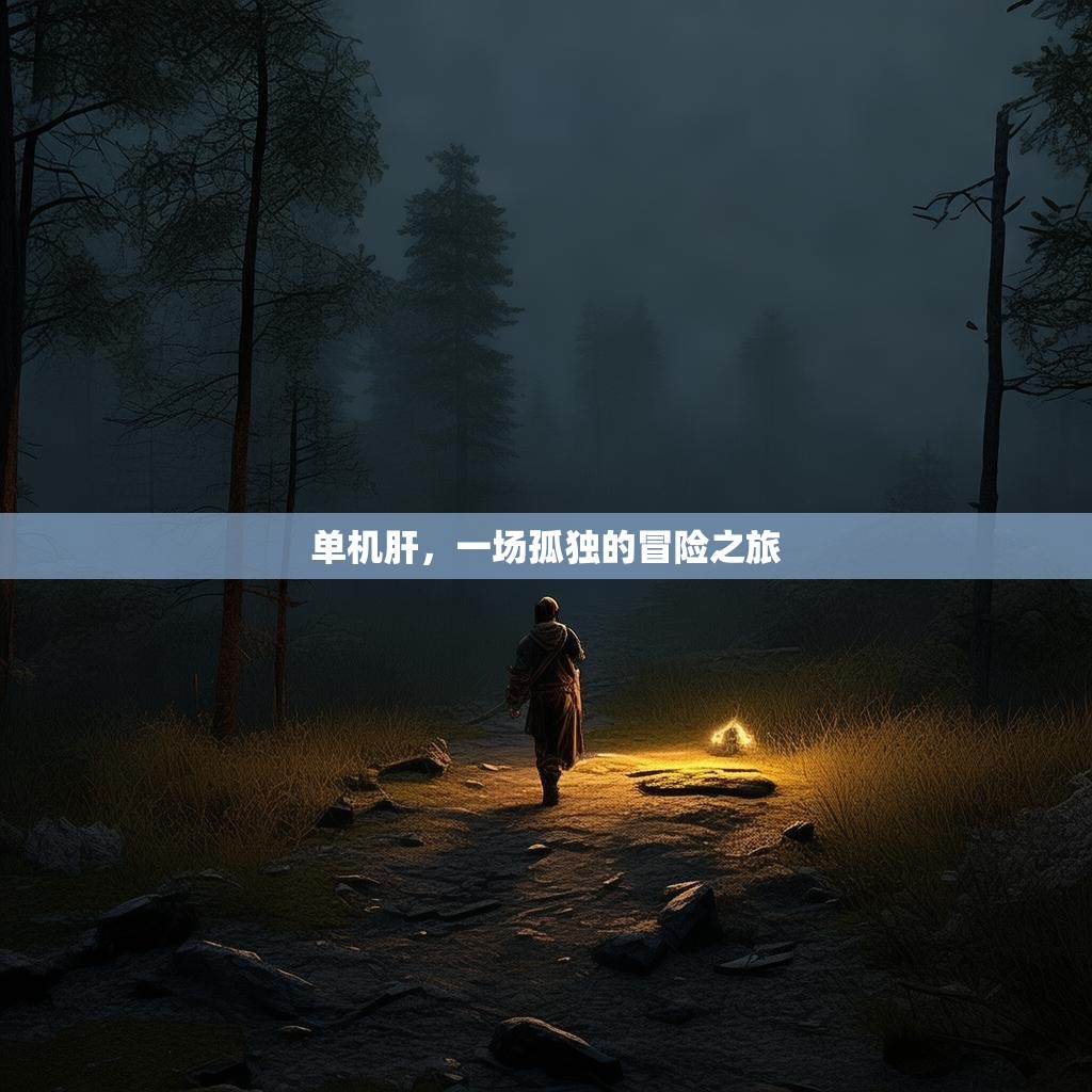 单机肝，一场孤独的冒险之旅
