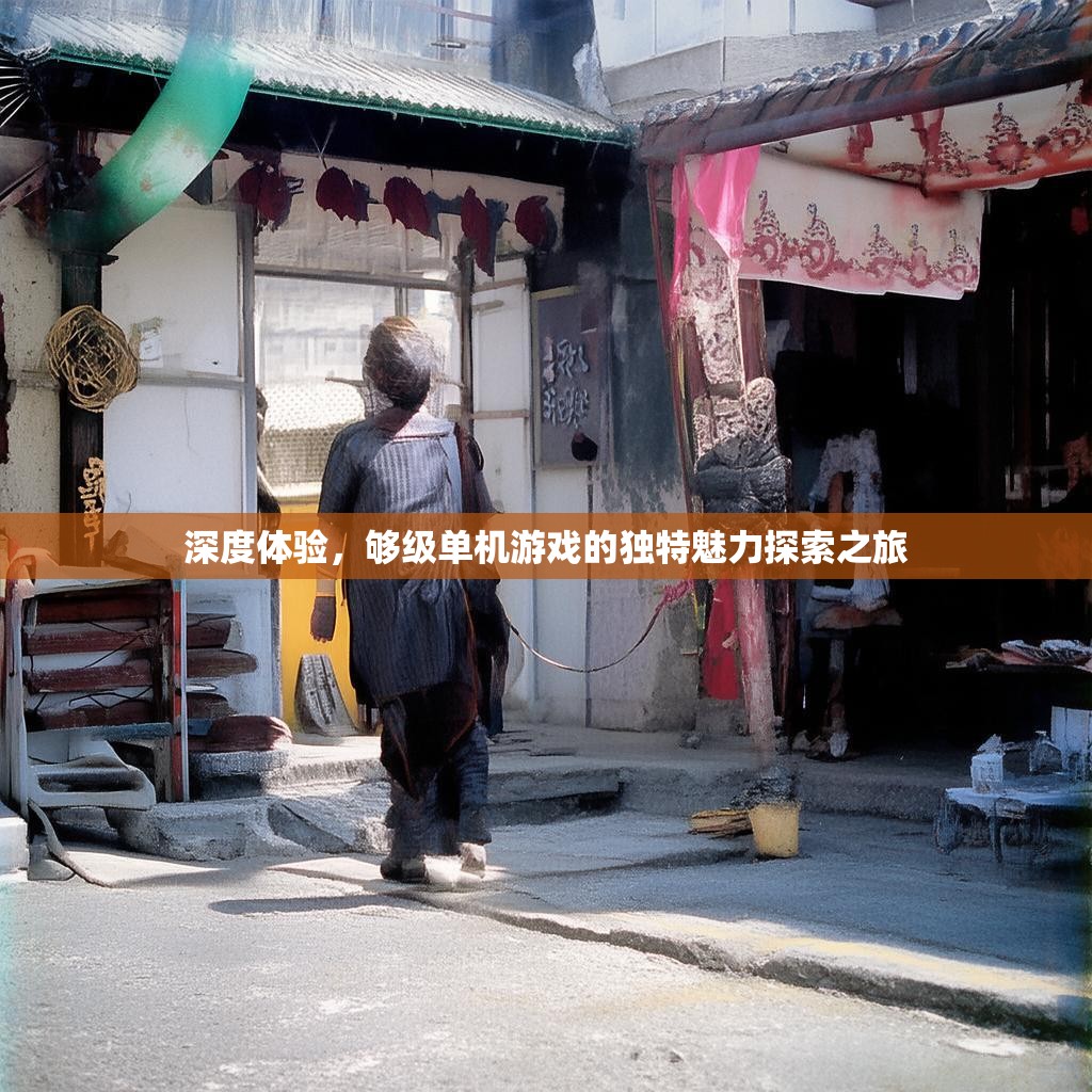 深度体验,够级单机游戏的独特魅力探索之旅 深度体验,够级单机游戏的独特魅力探索之旅