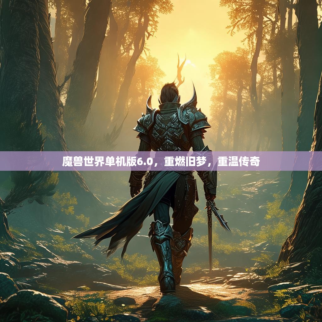 魔兽世界单机版6.0,重燃旧梦,重温传奇 魔兽世界单机版6.0,重燃旧梦,重温传奇